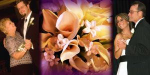 Photography album layout with flowers